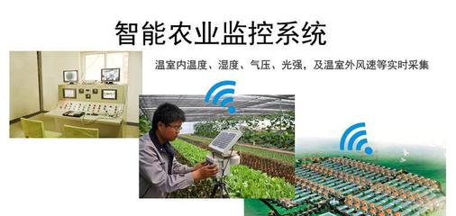 溫度、濕度、光照強度與農(nóng)業(yè)生產(chǎn) 在線氣象監(jiān)測技術(shù)解析