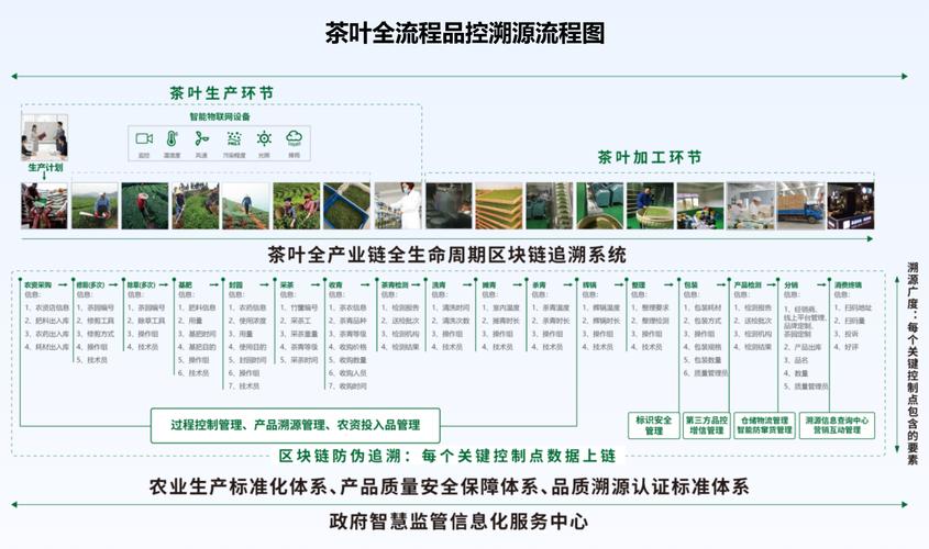 產品全生命周期數字化追溯 茶產業的變革與突破與數字內容制作服務